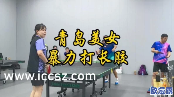 短篇丝袜乱系列集合嘉嘉：网友们对这一系列作品的评价褒贬不一，认为其风格独特但内容争议较大