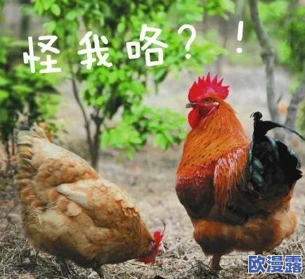 男人鸡鸡桶女人视频引发热议,网友们纷纷表达对这种内容的反感与不满,认为应加强对网络视频的监管 男人鸡鸡桶女人视频引发热议,网友们纷纷表达对这种内容的反感与不满,认为应加强对网络视频的监管