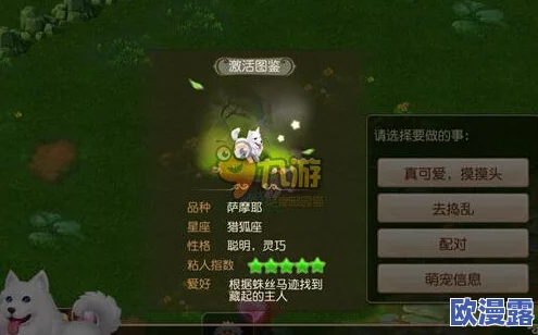 梦幻西游手游深度解析：萌宠配对玩法全攻略与技巧指南