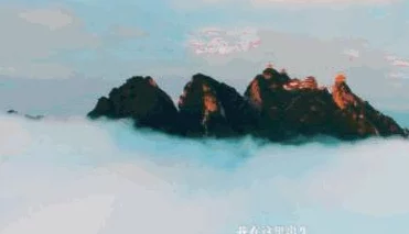 探索美女黄A视频的魅力：揭示背后的故事与文化现象