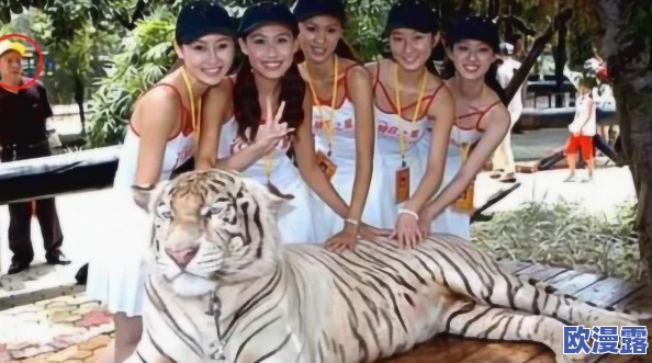操白虎美女:探索她们背后的故事与魅力,揭示不为人知的秘密 操白虎美女:探索她们背后的故事与魅力,揭示不为人知的秘密