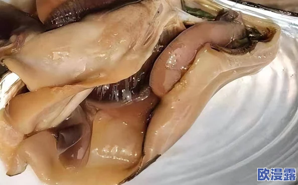 探索美妇肉蚌里的秘密：一场关于欲望与发现的奇妙旅程