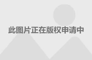 探索最刺激黄A大片免费网站，畅享无与伦比的视觉盛宴与娱乐体验