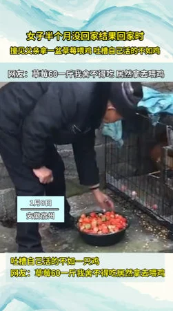 男人捅女人的鸡鸡,警方介入调查事件背后的真相与社会反响引发广泛关注和讨论 男人捅女人的鸡鸡,警方介入调查事件背后的真相与社会反响引发广泛关注和讨论