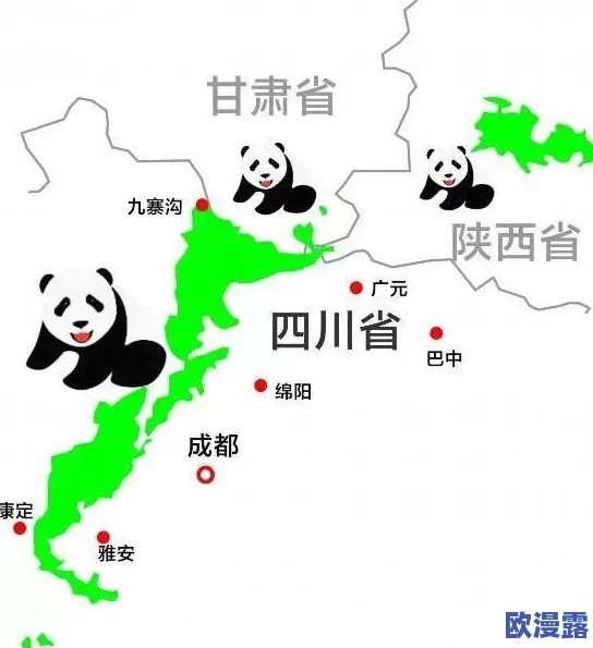 探索国产网站的多样性与创新：从电商到社交平台的全面分析