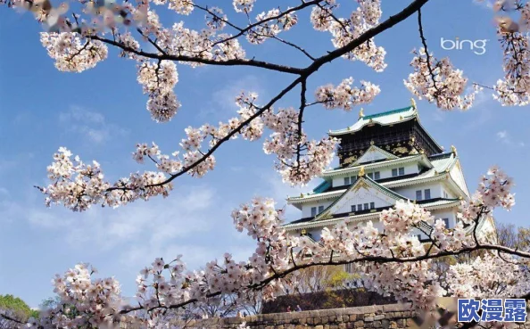 探索香港与日本三妇三级文化交融的独特魅力：一场视觉与情感的双重盛宴