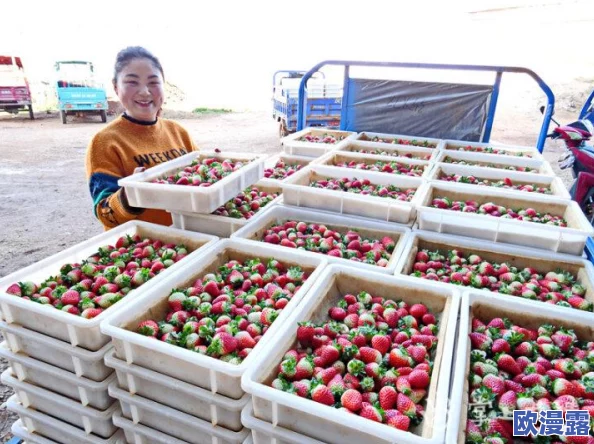 探索国产桃的独特魅力:从种植技术到美味食谱,带你领略水果界的新星 探索国产桃的独特魅力:从种植技术到美味食谱,带你领略水果界的新星