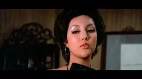 探索欧美高级艳星视频的魅力与艺术：一场视觉盛宴的深度解析