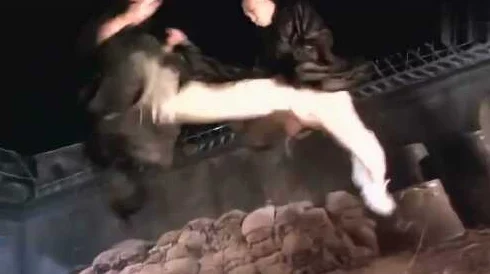 纲手腿法熟练脚法精湛，真是武术的巅峰之作，让人叹为观止！