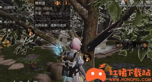 明日之后游戏攻略:小枝芽获取方法及其在游戏中的实际用途详解 明日之后游戏攻略:小枝芽获取方法及其在游戏中的实际用途详解