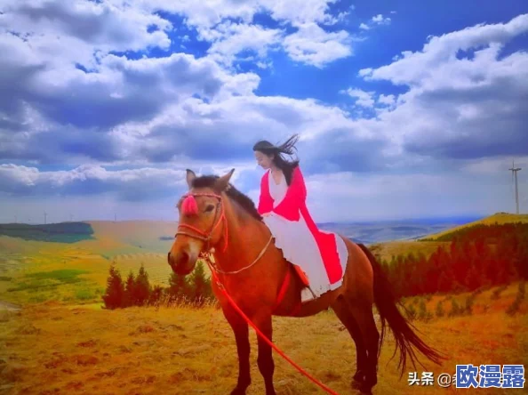 随着马儿的奔跑项弄，真是让人感受到大自然的魅力与生命的活力！