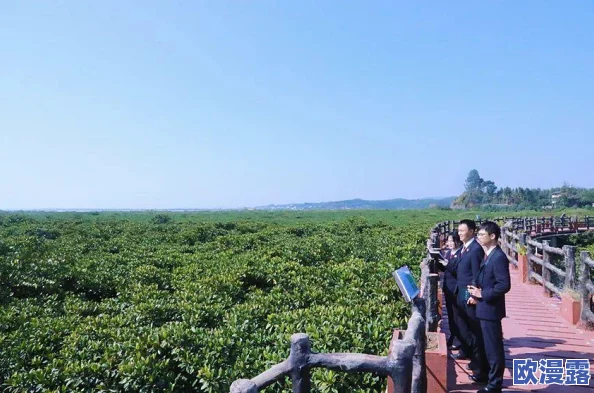 荒野行动协同作战：守护之盾职业深度解析，天赋优势与缺陷一览表