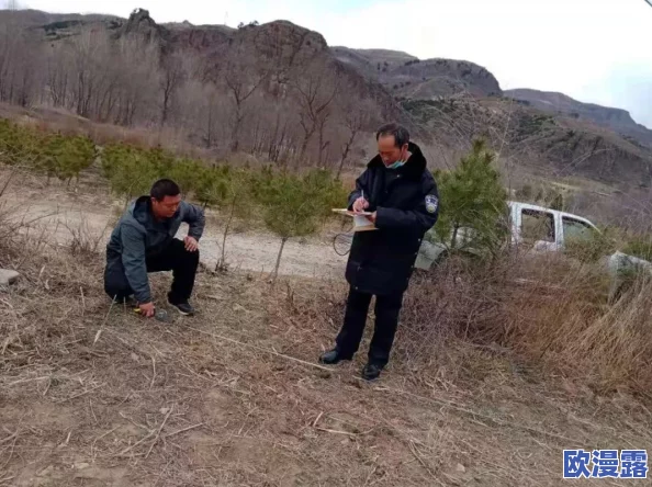 日韩伦理探花，深度剖析两国文化差异，让人对社会风俗有了新的认识