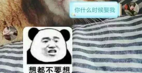 让笨蛋妹妹变得聪明方法，真是个好主意，希望能分享一些实用的技巧！