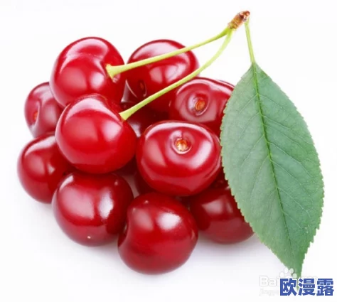 蜜汁樱桃by苦咖啡，这首歌的旋律真是让人陶醉，歌词也很有意境