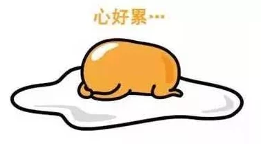 肥肥婆xxxx0ooo，真是让人忍俊不禁的名字，期待她带来的更多搞笑内容！