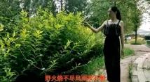 青青河边草高清免费版新闻，网友们纷纷表示这部作品真是经典，值得一看！