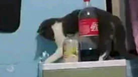 边摸边吃奶边做很爽视频网站，真是个让人欲罢不能的好地方，内容丰富多样！