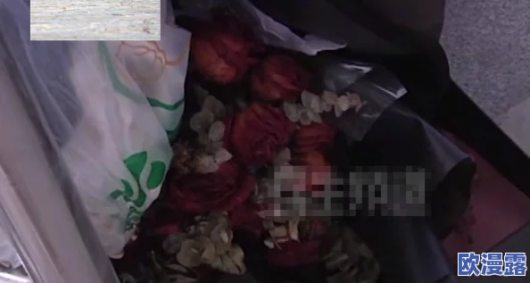 男人j放进女人j网站免费，这种内容真是让人感到不适，希望能加强监管