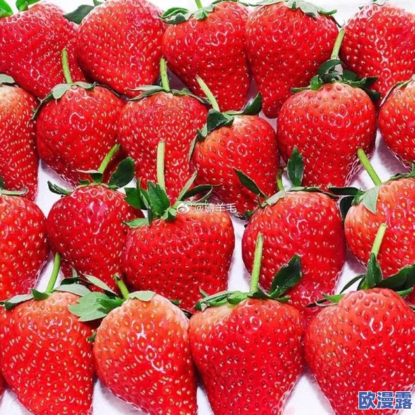 精产国品一二三产区草莓88，口感鲜美，果汁丰富，是草莓爱好者的首选！