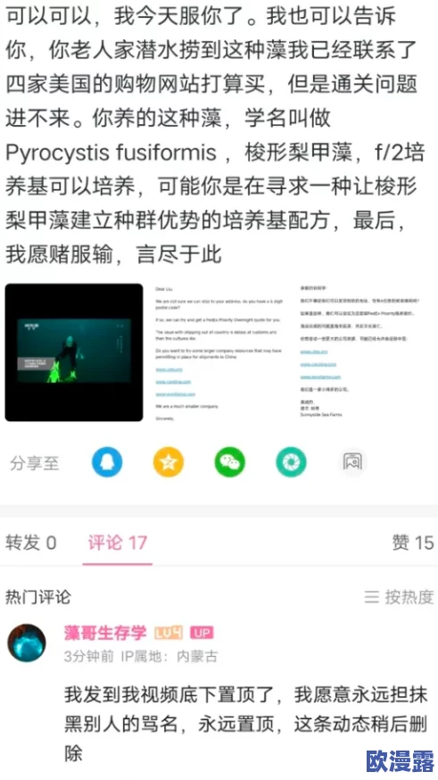 视频一区二区免费,真是太好了!终于可以畅享各种精彩内容,不用再担心费用问题 视频一区二区免费,真是太好了!终于可以畅享各种精彩内容,不用再担心费用问题