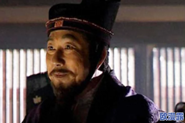 皇室战争现版本热门5费卡牌全面盘点：中流砥柱级角色深度介绍与分析