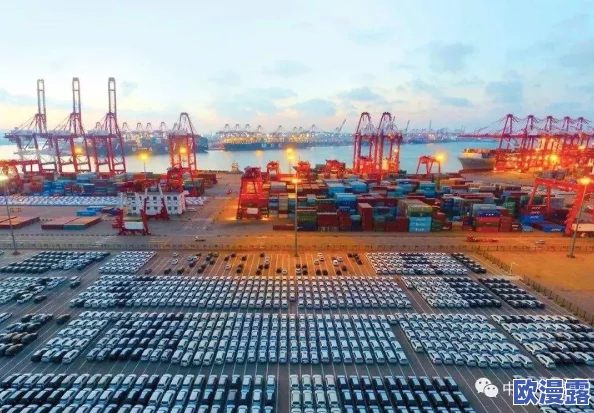 韩国*惊爆信息:最新调查显示韩国年轻人失业率创历史新高引发社会广泛关注与讨论 韩国*惊爆信息:最新调查显示韩国年轻人失业率创历史新高引发社会广泛关注与讨论