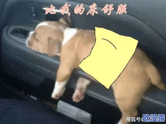 嗯啊啊啊好舒服，真是太享受了，这种感觉让人忘却一切烦恼！