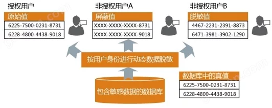 污污视频网站下载引发热议用户纷纷讨论安全性与内容合规性专家建议谨慎使用以避免法律风险和个人信息泄露