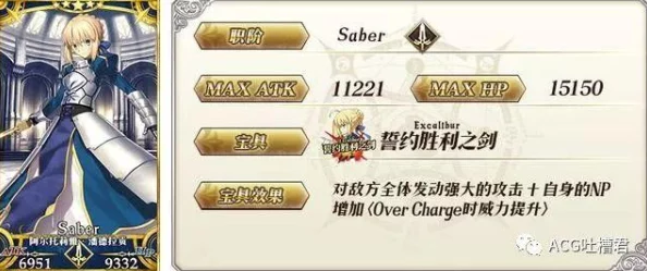 《命运/冠位指定》FGO卫宫Assassin全面解析：技能效果与实战配卡深度测评