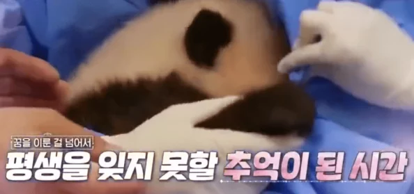 边亲边揉边摸下面好爽视频在生活中我们要关注健康与快乐的方式让每一天都充满积极向上的能量和美好体验 边亲边揉边摸下面好爽视频在生活中我们要关注健康与快乐的方式让每一天都充满积极向上的能量和美好体验